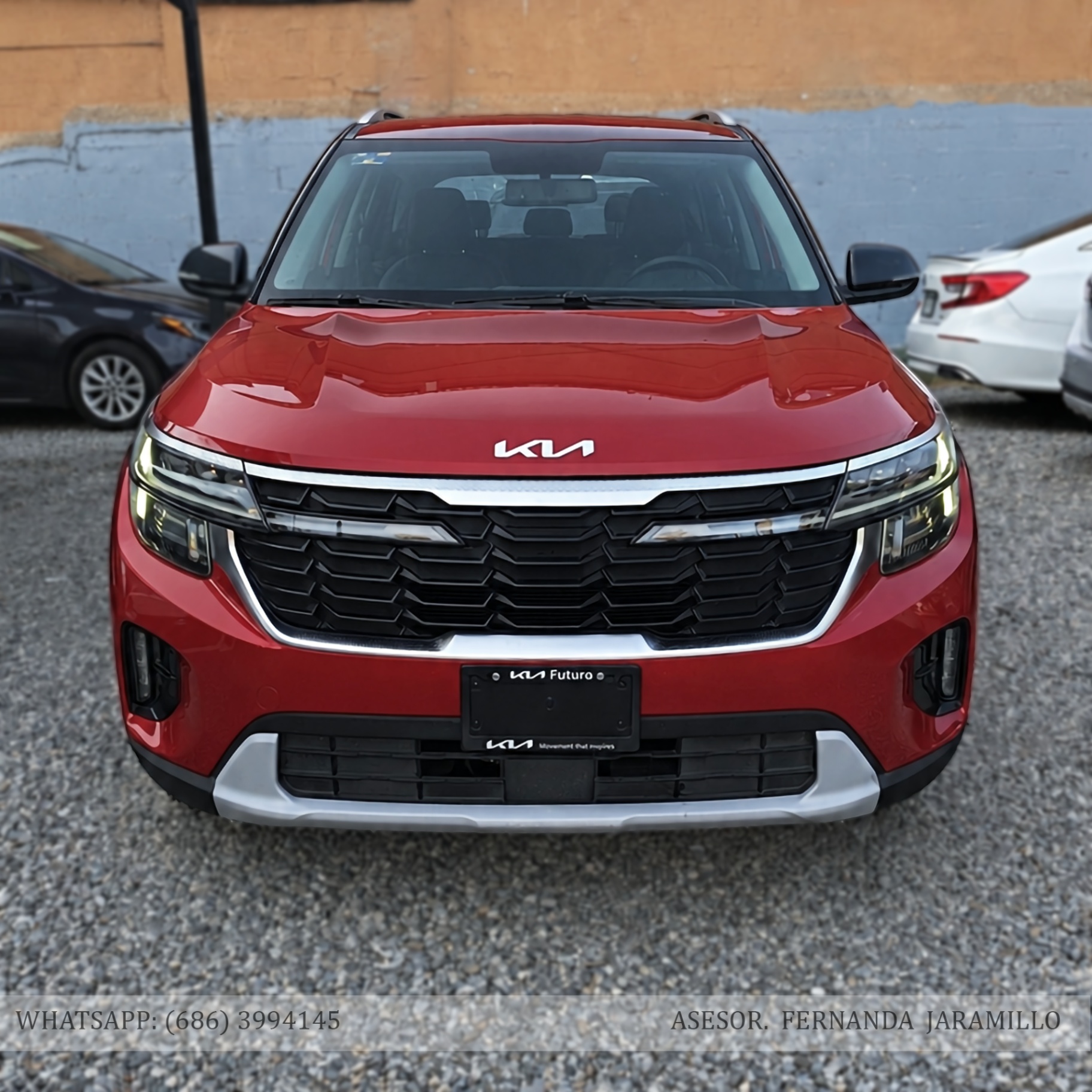 2024 Kia SELTOS EXPACK foto 5