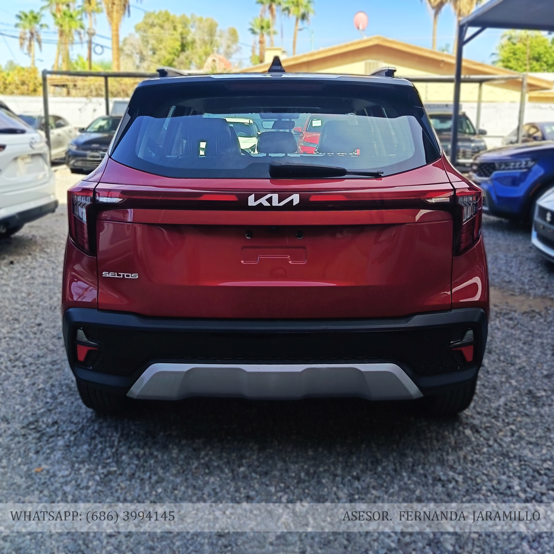 2024 Kia SELTOS EXPACK foto 3