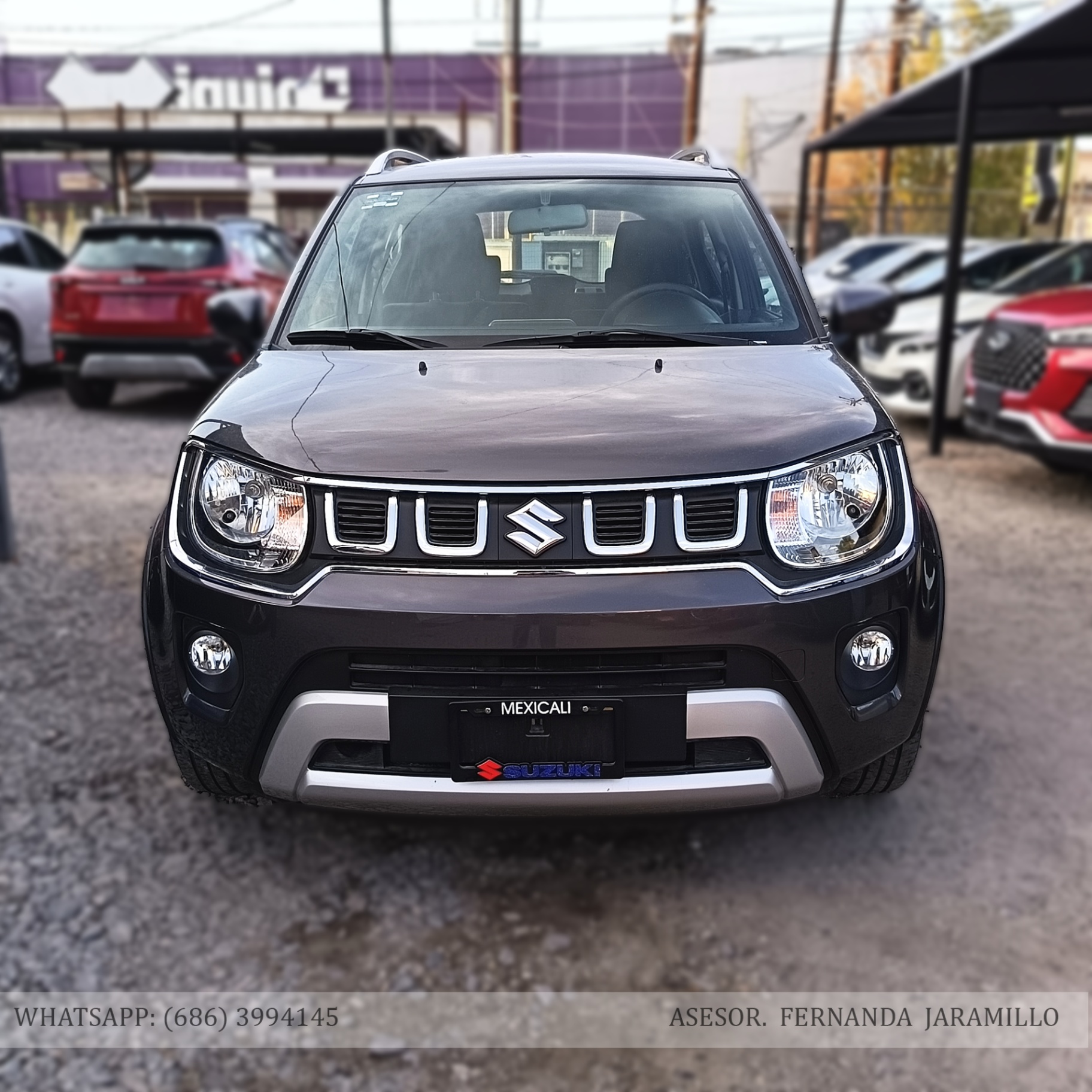 2024 Suzuki IGNIS GLS  foto 5