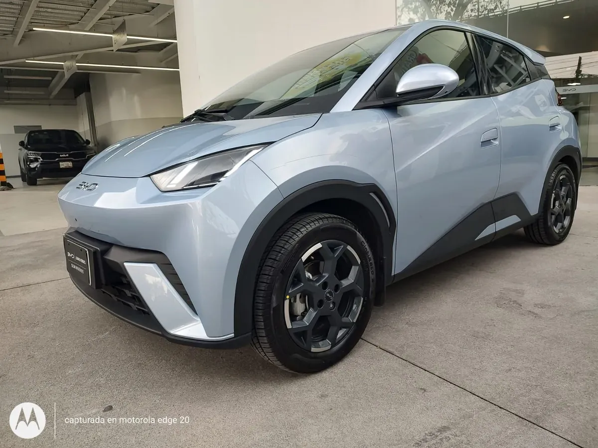 2026 BYD Dolphin Mini