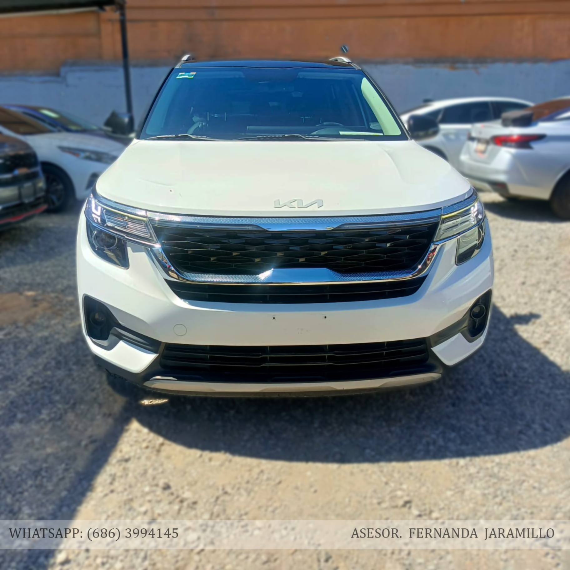 2023 Kia SELTOS EXPACK foto 2