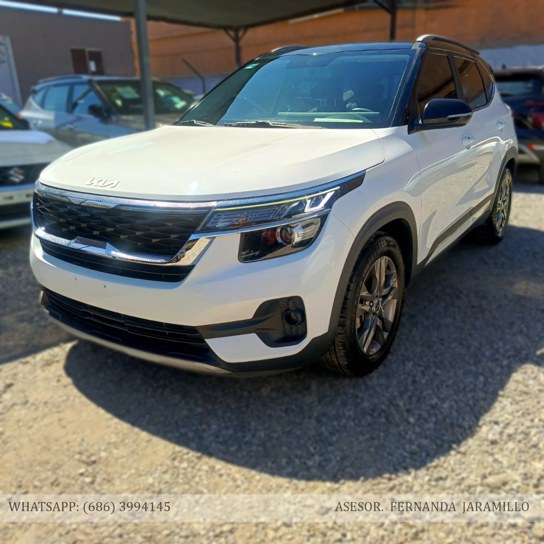 2023 Kia SELTOS EXPACK foto 3