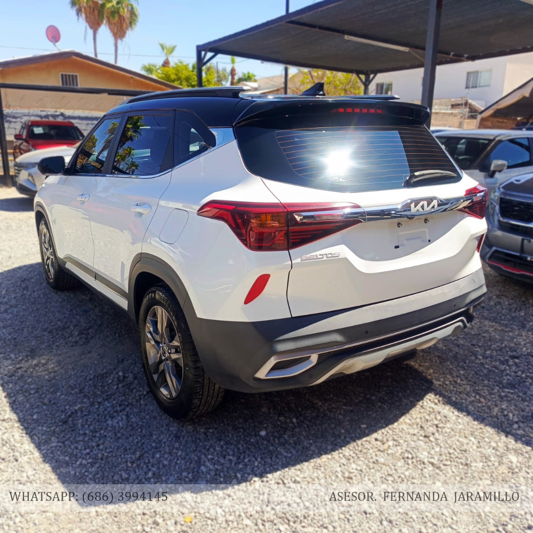 2023 Kia SELTOS EXPACK foto 4