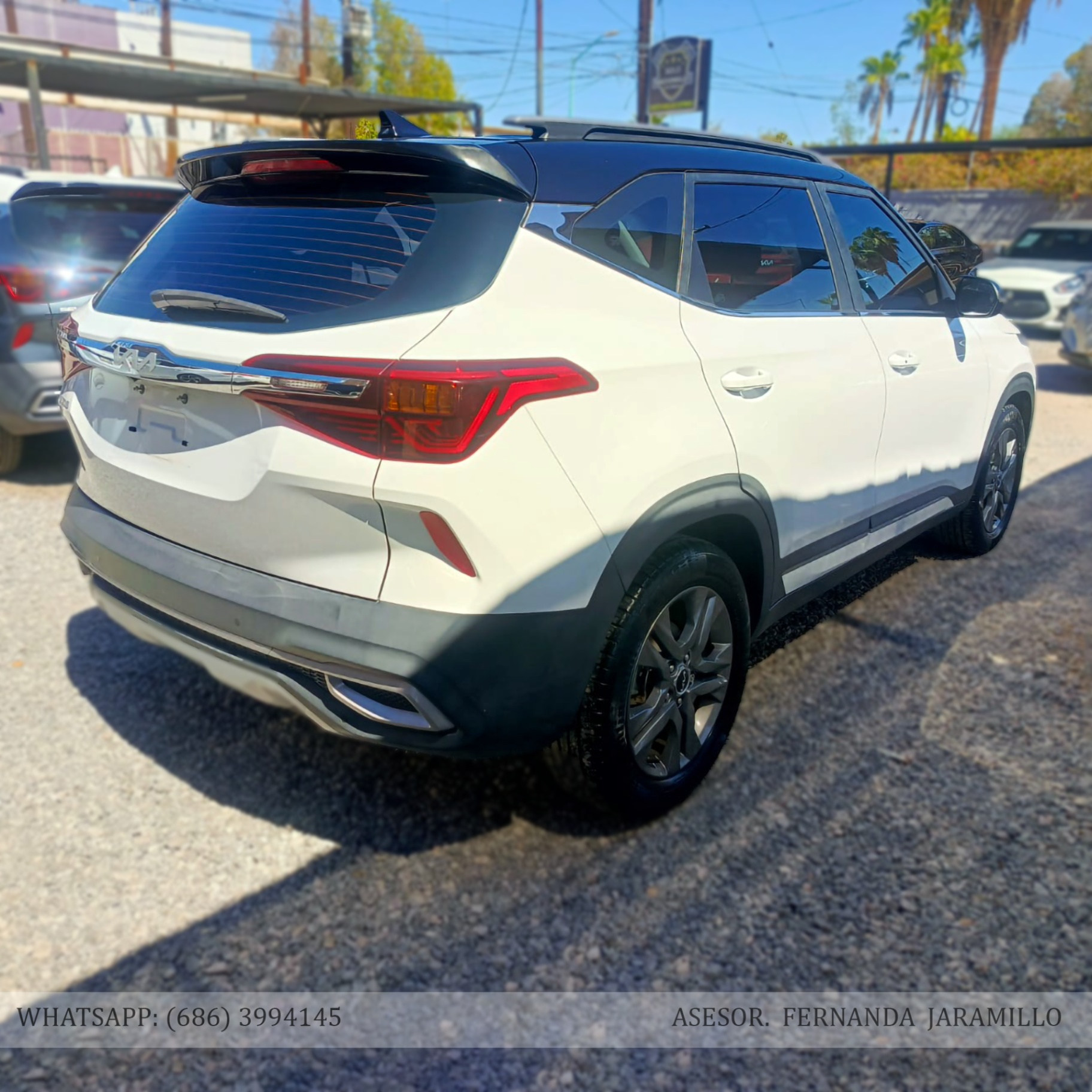 2023 Kia SELTOS EXPACK foto 5