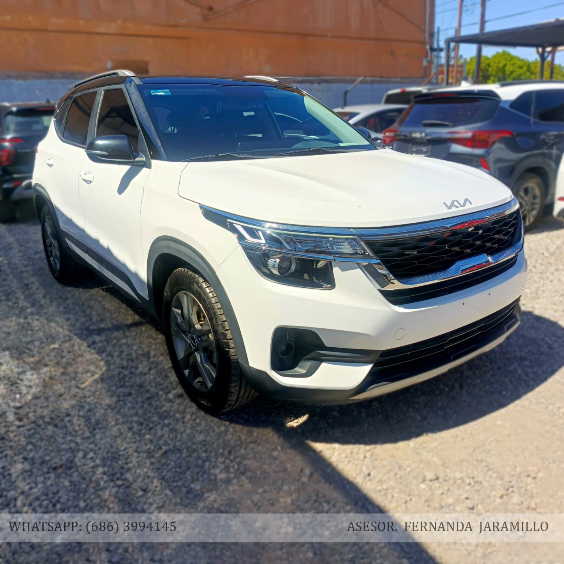 2023 Kia SELTOS EXPACK
