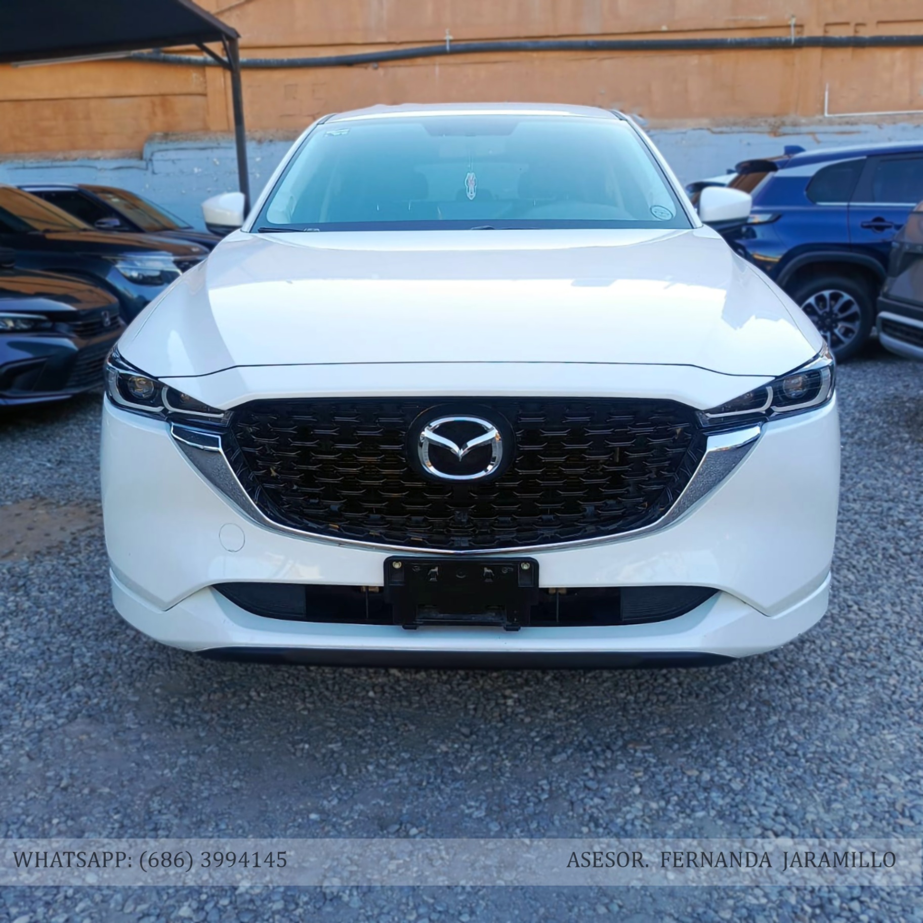 2024 Mazda CX-5 i SPORT foto 2