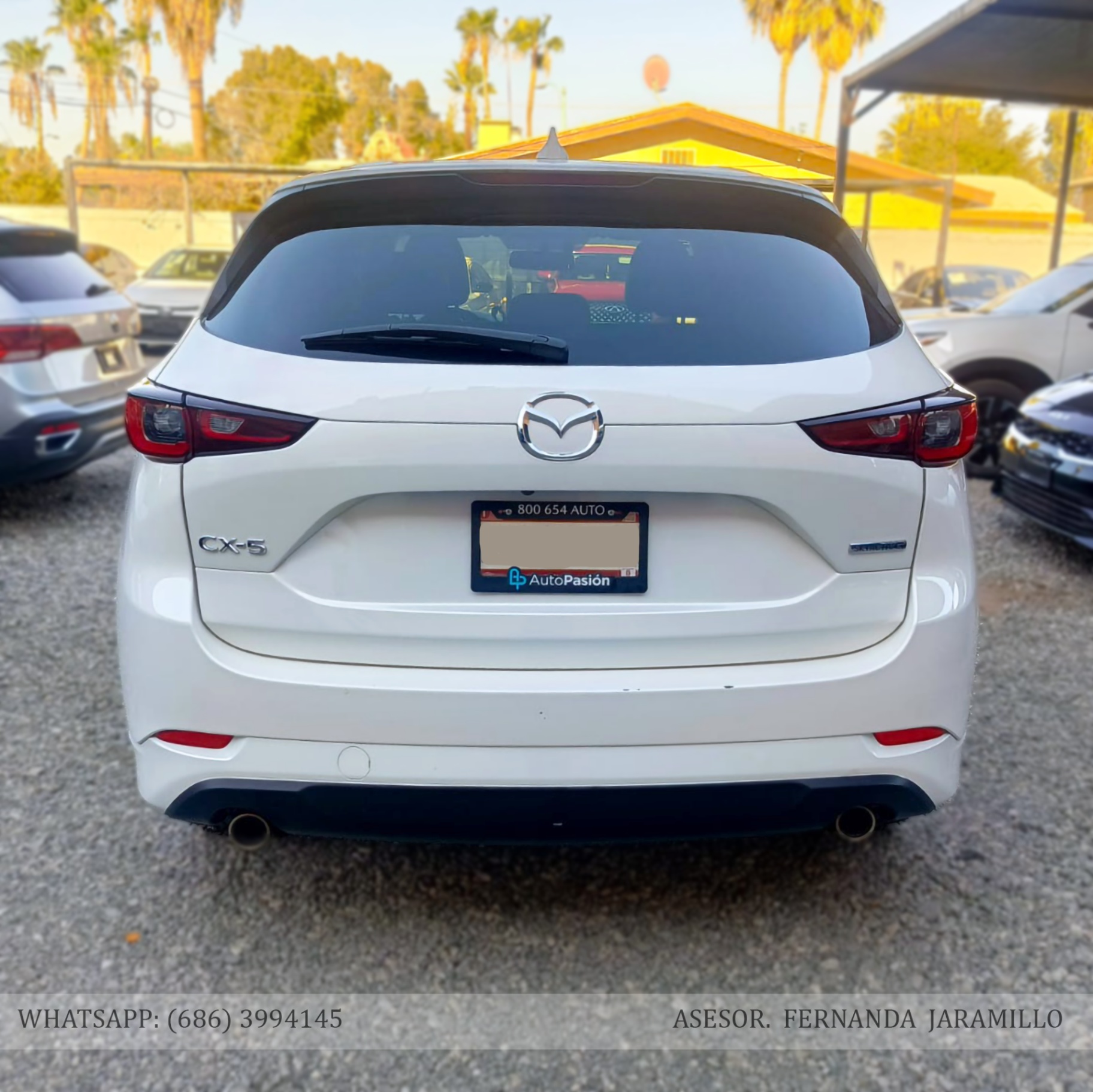 2024 Mazda CX-5 i SPORT foto 5