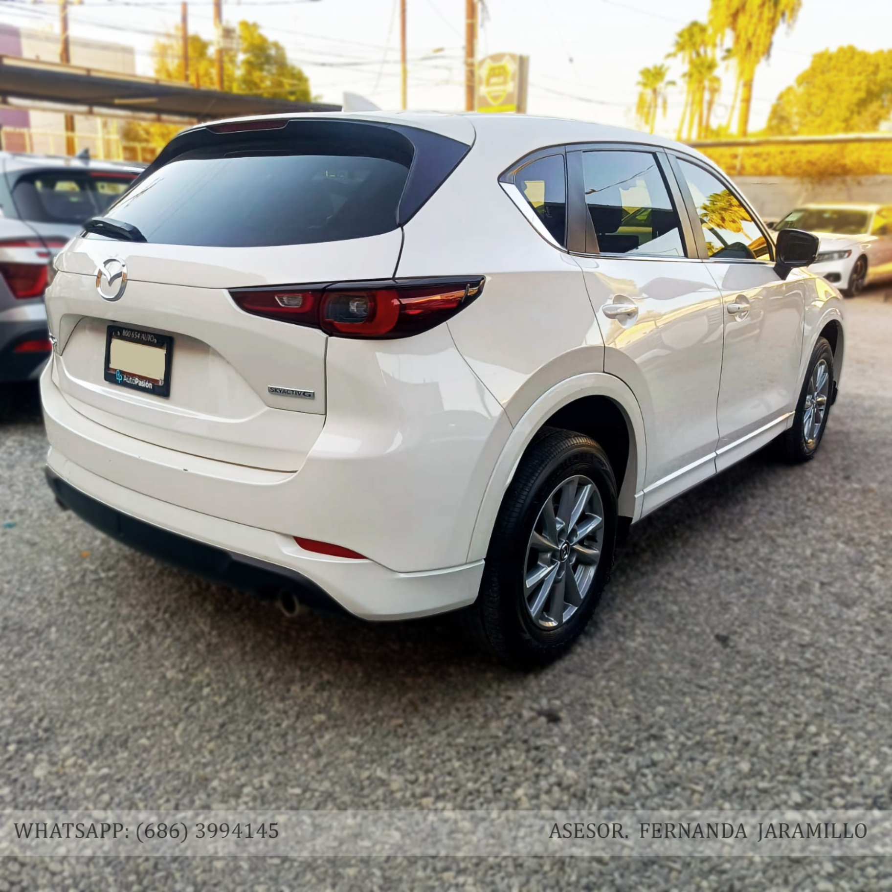 2024 Mazda CX-5 i SPORT foto 6