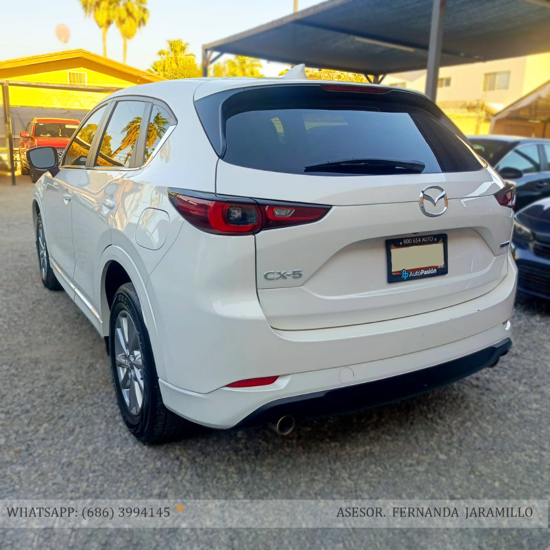 2024 Mazda CX-5 i SPORT foto 4