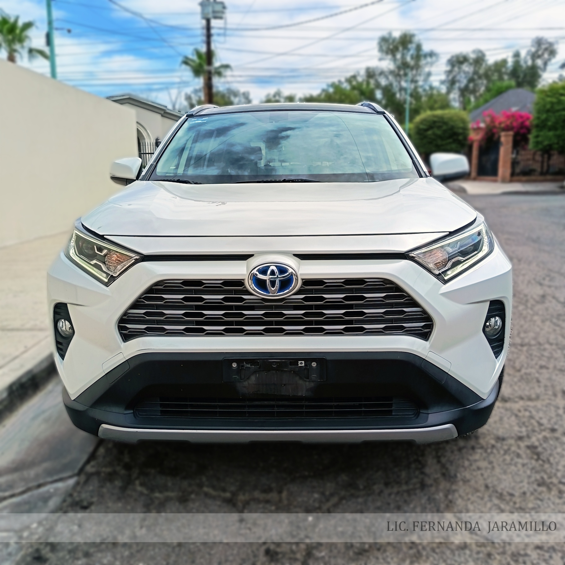 2019 Toyota RAV4 LIMITED HYBRID foto 6