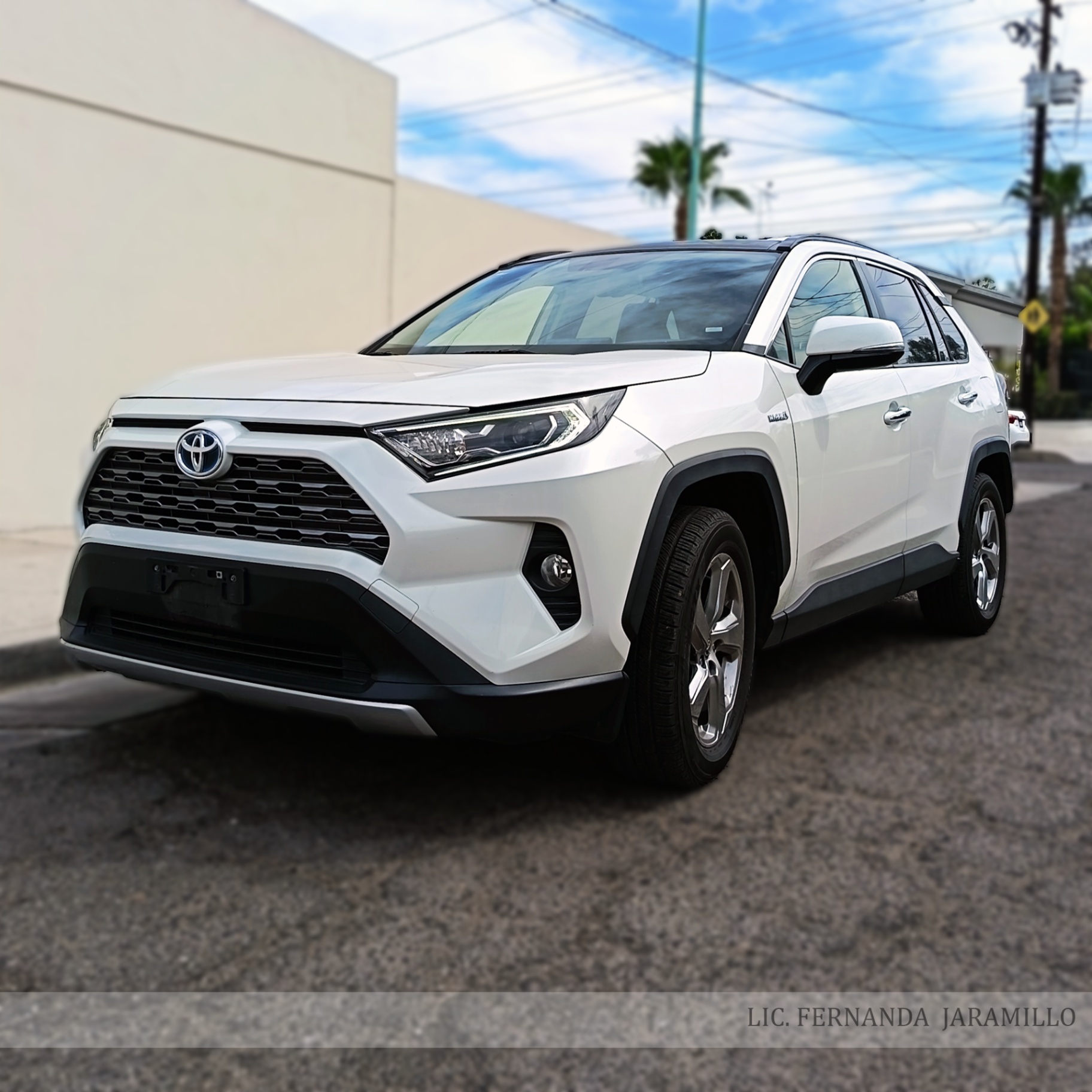 2019 Toyota RAV4 LIMITED HYBRID