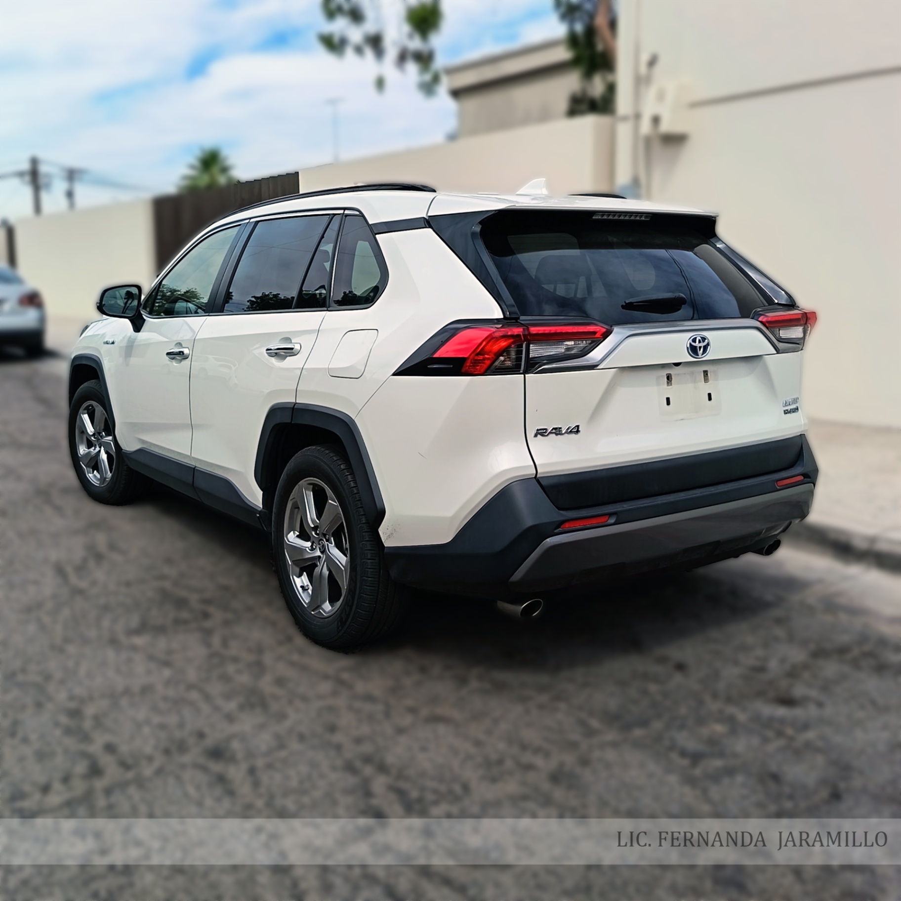 2019 Toyota RAV4 LIMITED HYBRID foto 2