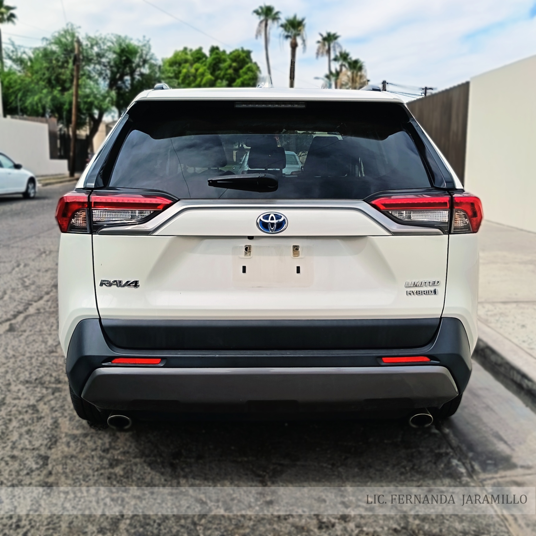 2019 Toyota RAV4 LIMITED HYBRID foto 3