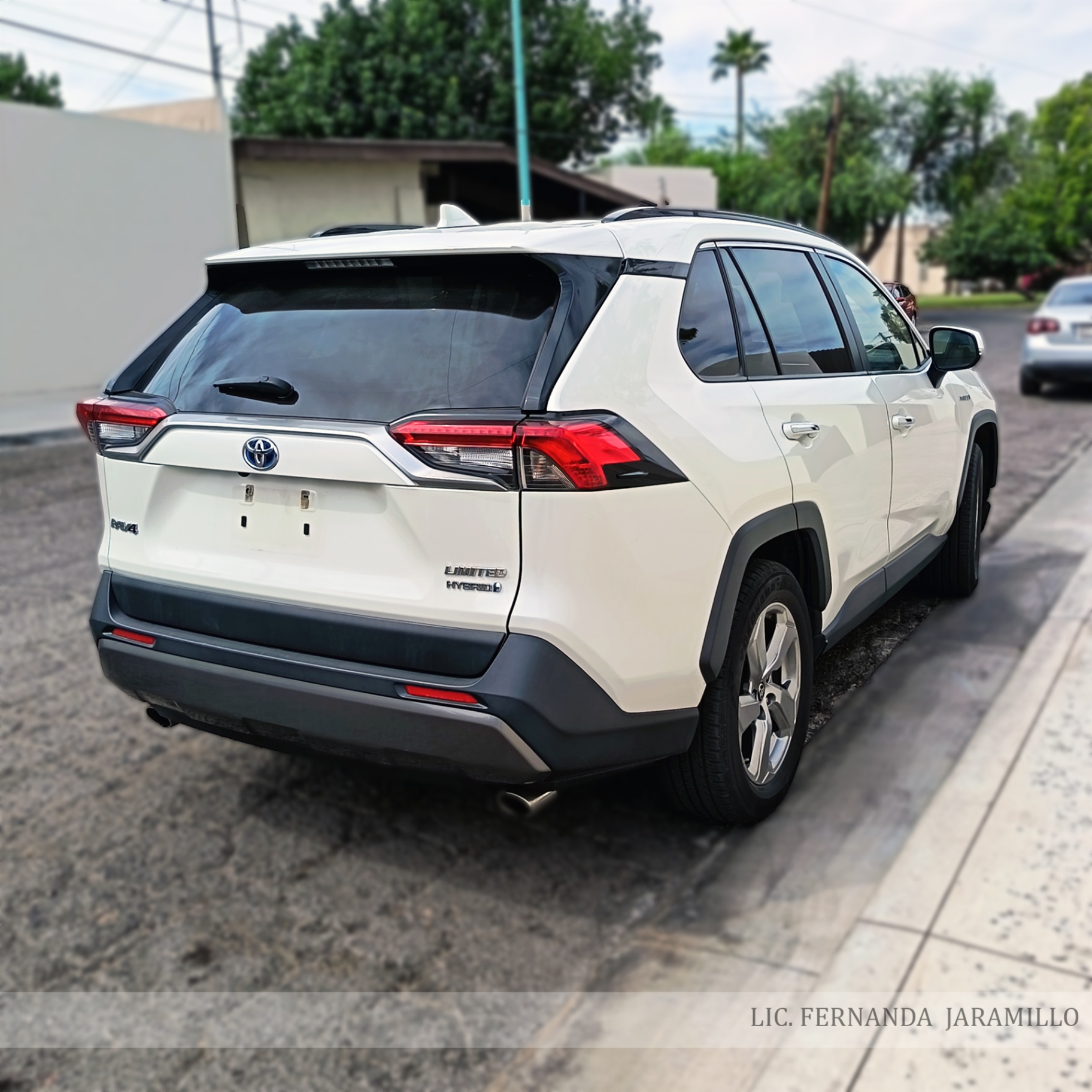 2019 Toyota RAV4 LIMITED HYBRID foto 4