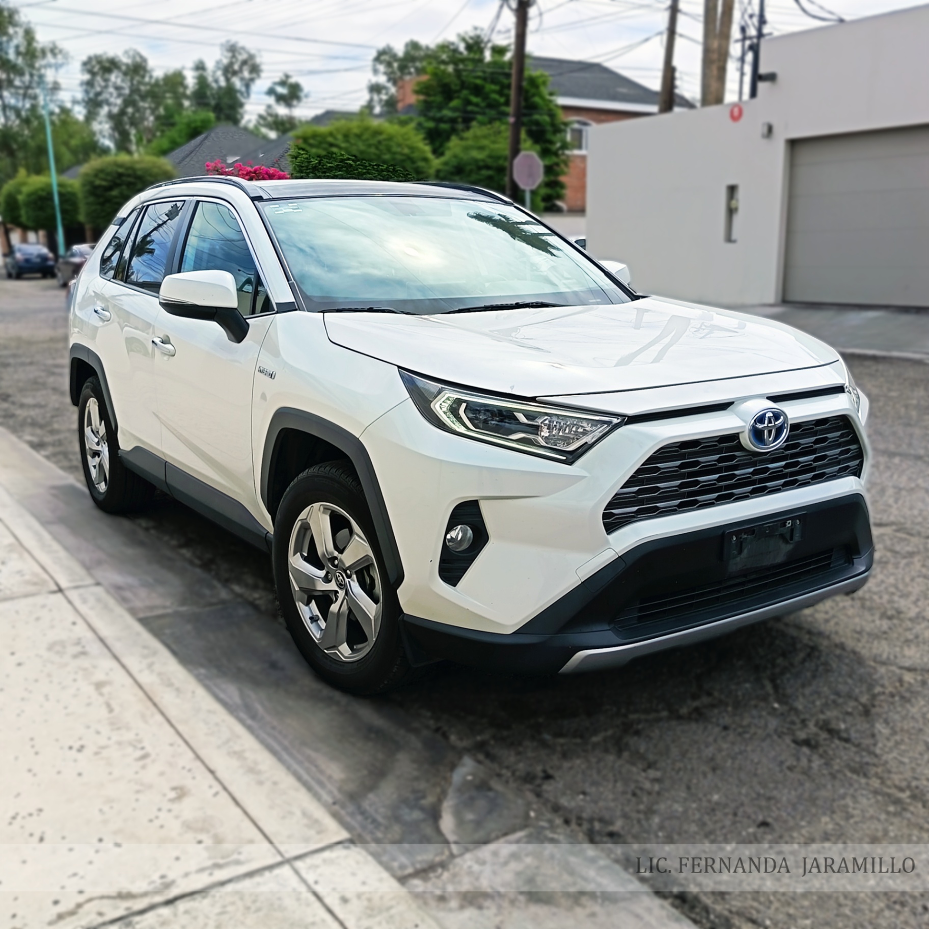 2019 Toyota RAV4 LIMITED HYBRID foto 5
