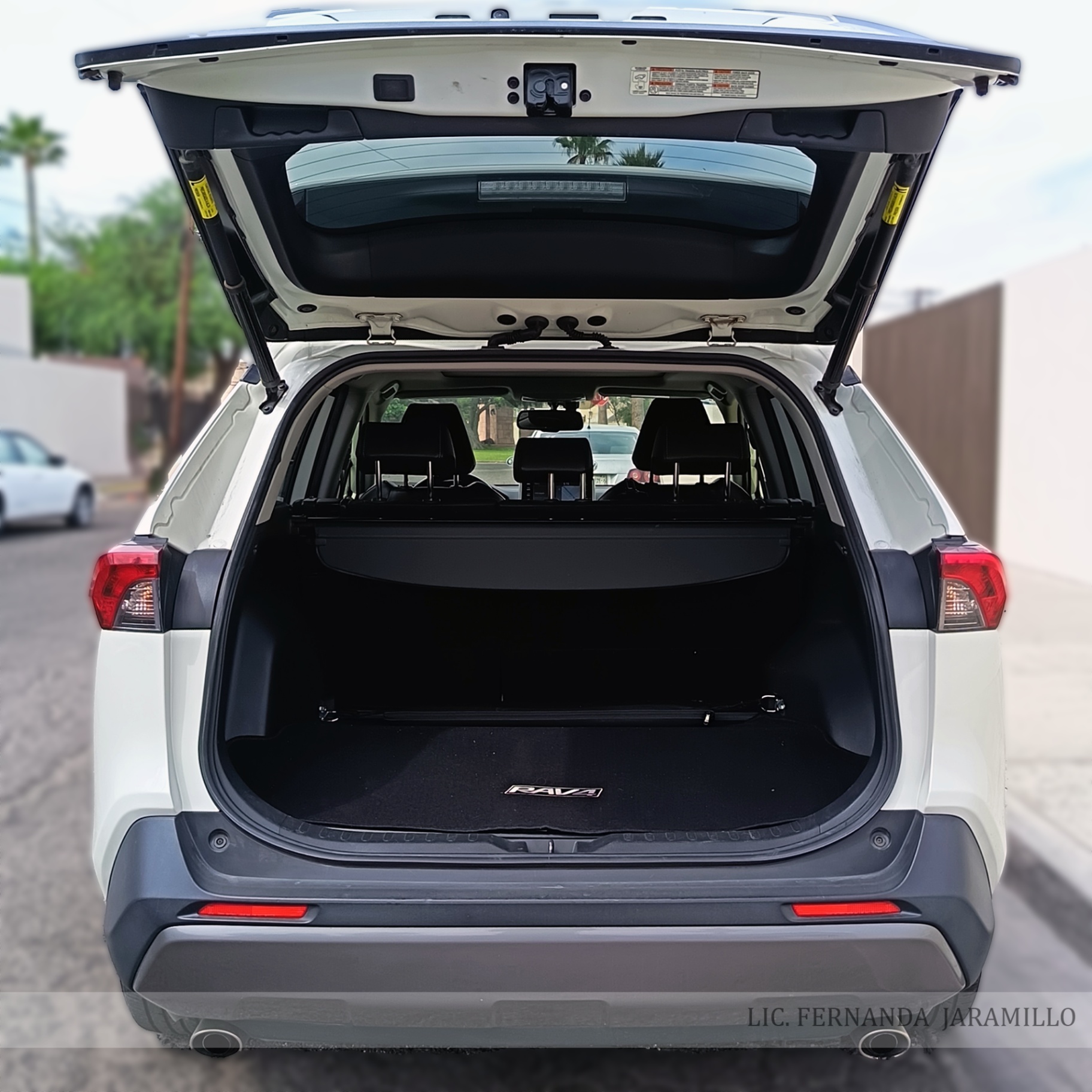 2019 Toyota RAV4 LIMITED HYBRID foto 7