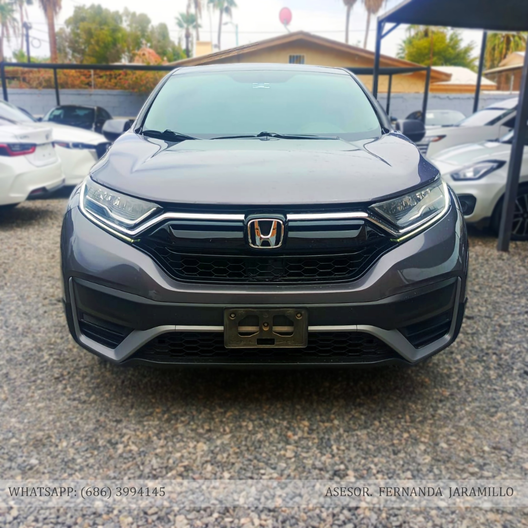 2022 Honda CRV TURBO foto 6