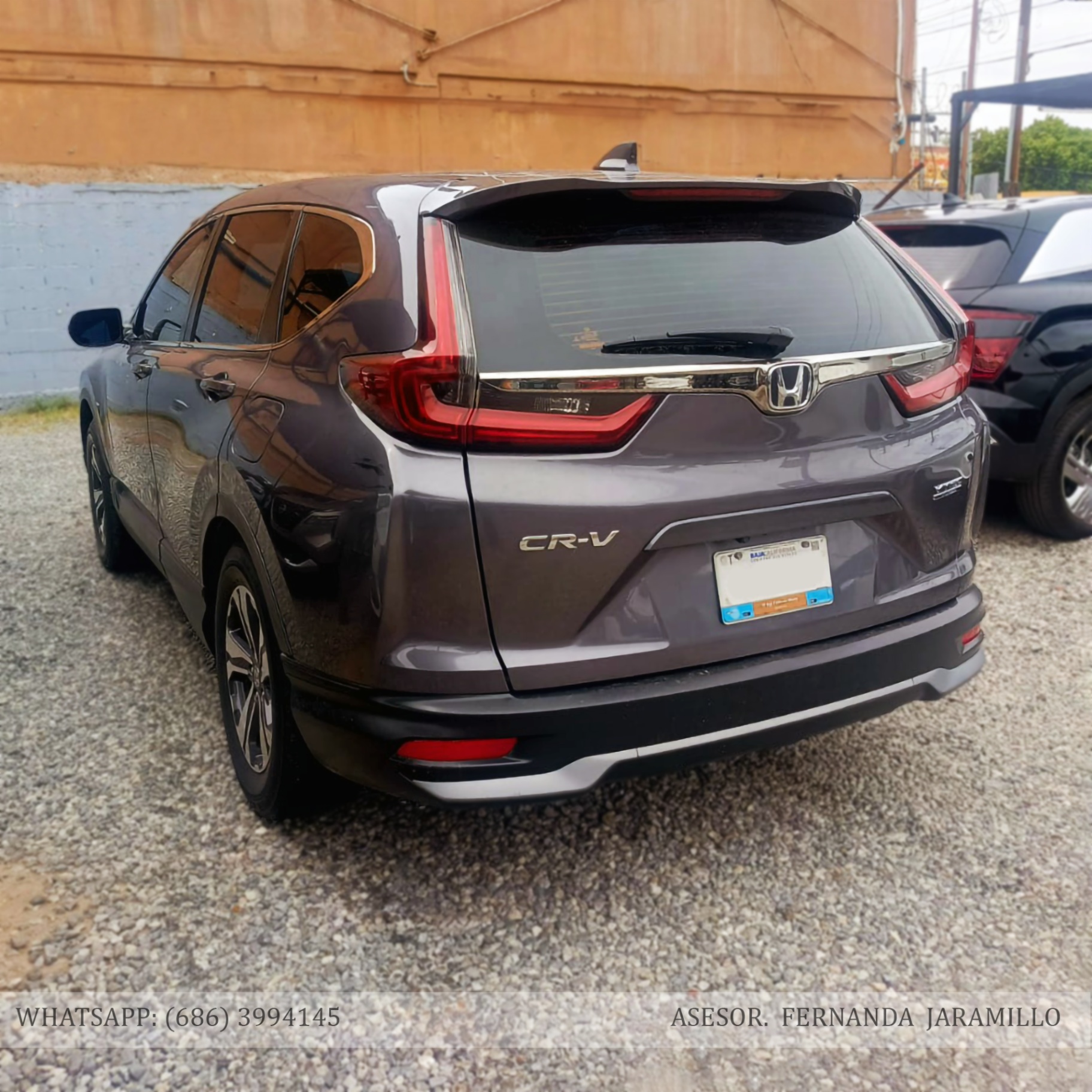 2022 Honda CRV TURBO foto 2