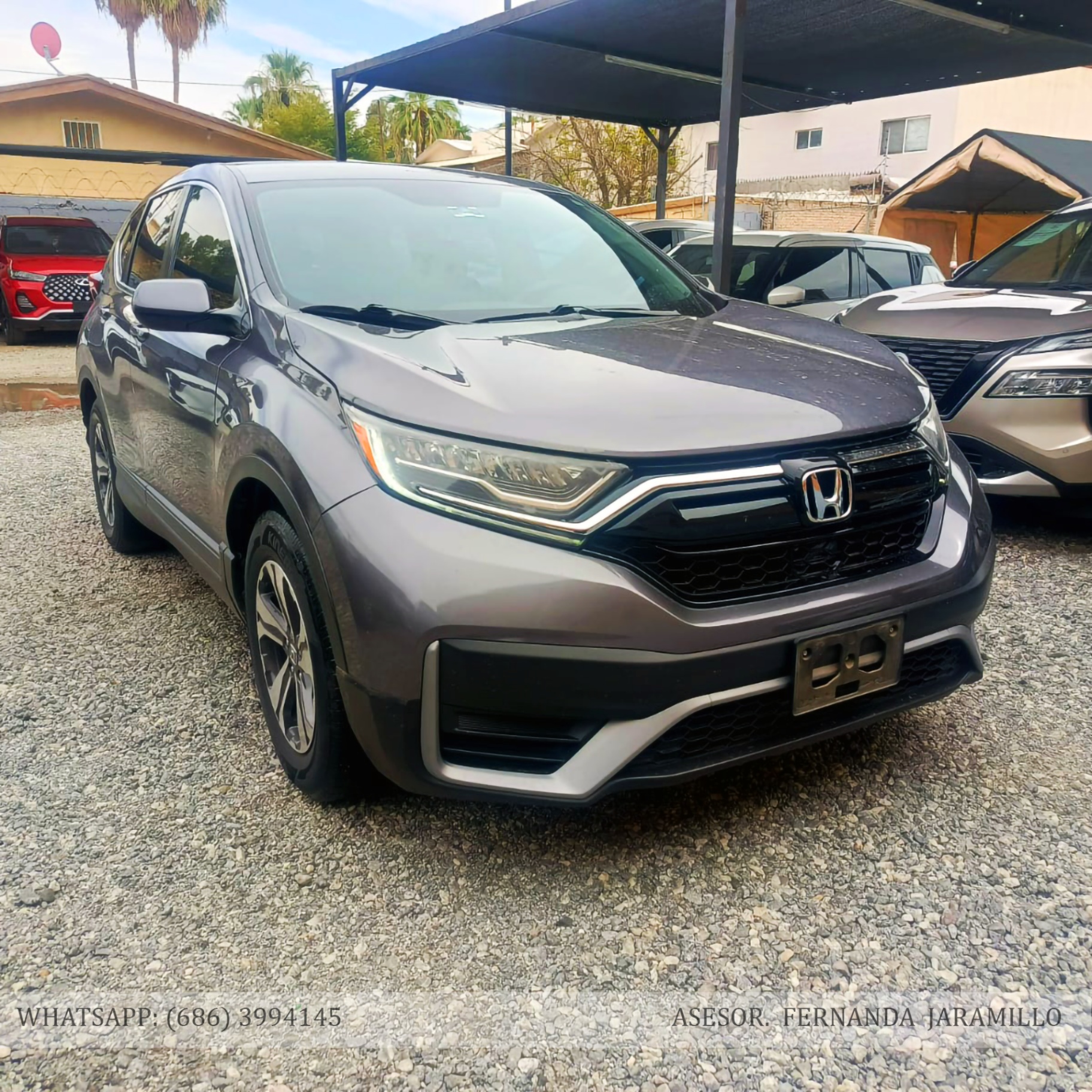 2022 Honda CRV TURBO foto 5
