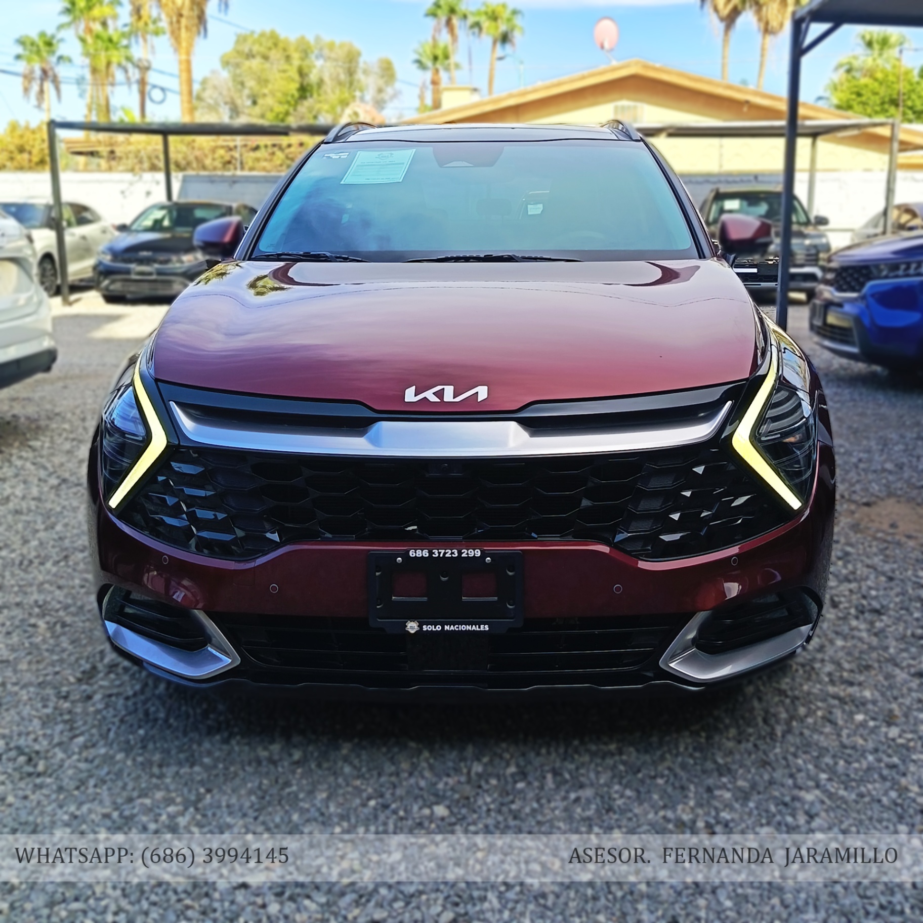 2024 Kia SPORTAGE SXT  foto 2