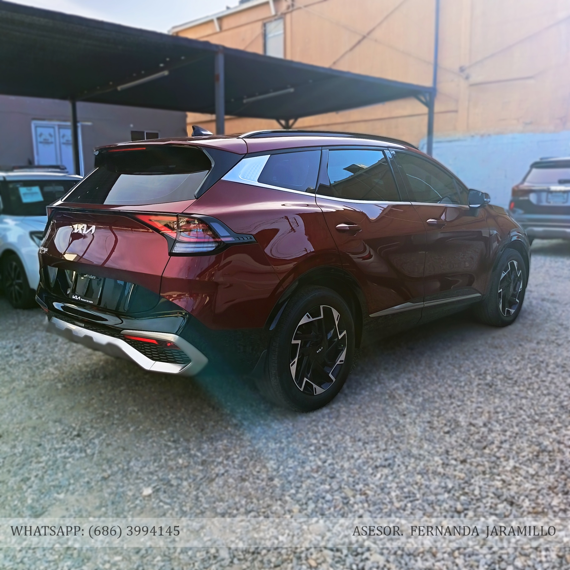 2024 Kia SPORTAGE SXT  foto 6