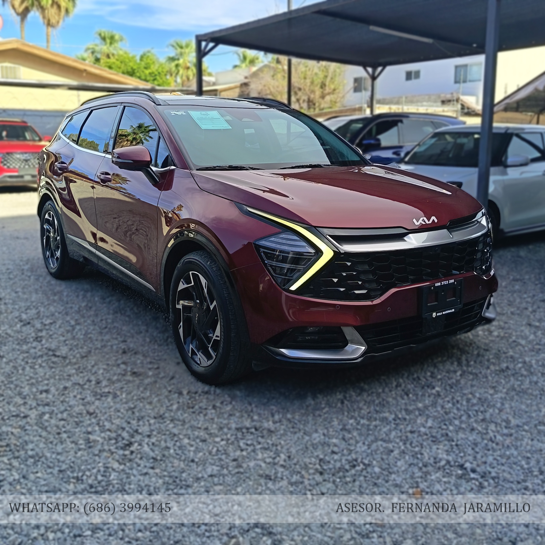 2024 Kia SPORTAGE SXT 