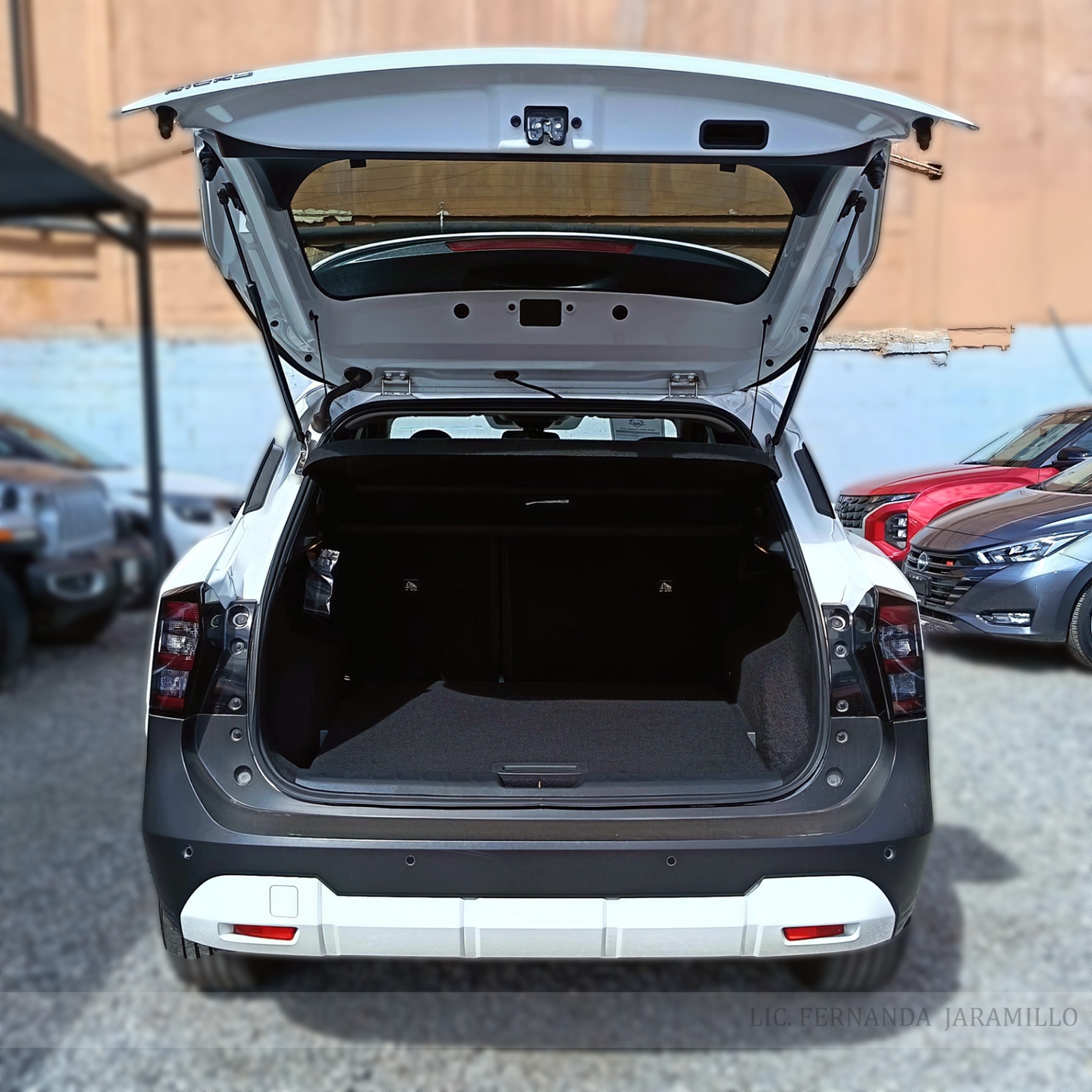 2025 Nissan KICKS ADVANCE foto 6